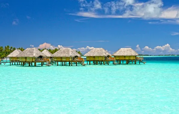 The ocean, the hotel, Laguna, Bungalow, Bora-Bora