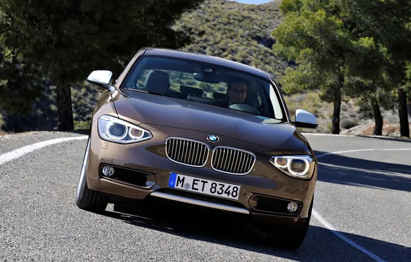 Road, forest, trees, mountains, BMW, highway, brown, bias