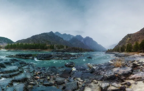 Colors, forest, river, fog, stones, cloudy