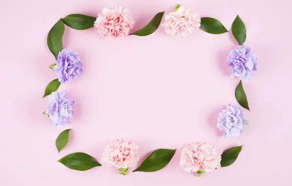 Leaves, flowers, background, pink, buds, fresh, pink, flowers
