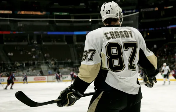 Ice, Sydney, Canada, USA, usa, canada, NHL, NHL