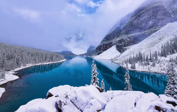 Winter, forest, snow, mountains, lake, shore, ate, Canada