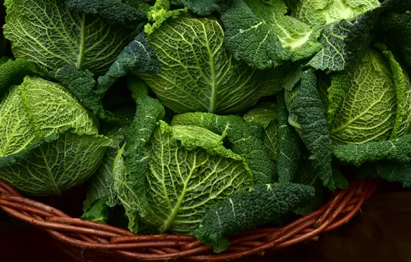 Leaves, drops, close-up, harvest, basket, green, vegetables, cabbage