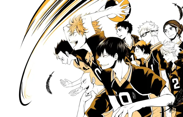The ball, team, guys, volleyball, Haikyuu, Karasuma