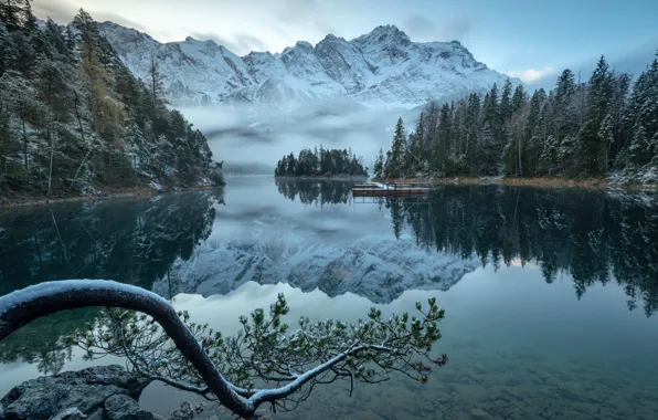 Winter, frost, forest, snow, mountains, branches, fog, lake