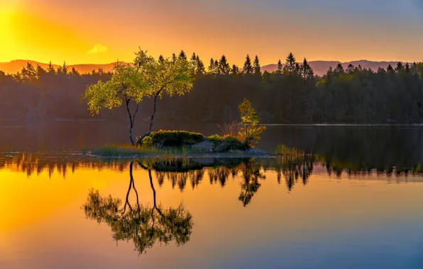 Picture lake, reflection, tree, Norway, island