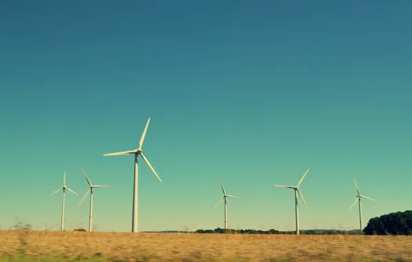 Sky, field, windmills