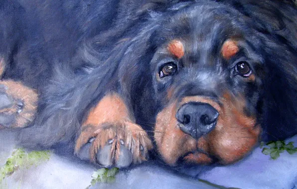 Look, pose, oil, portrait, dog, painting, face, canvas