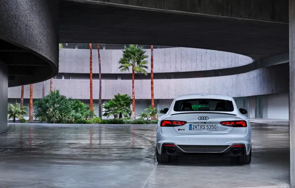 Audi, rear view, RS5, Sportback, RS 5, 2020
