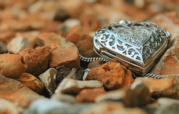 Picture autumn, leaves, heart, pendant
