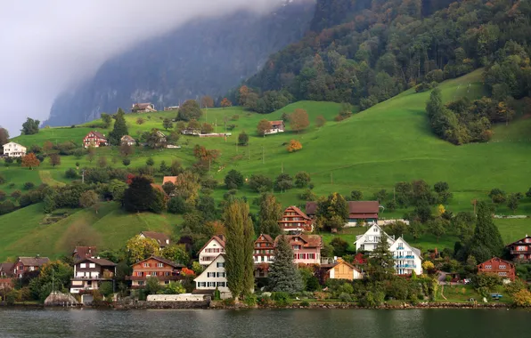 Picture forest, the city, lake, photo, home, Switzerland, Kehristen