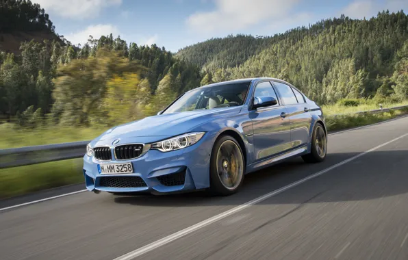 Road, car, machine, auto, trees, mountains, BMW, blue