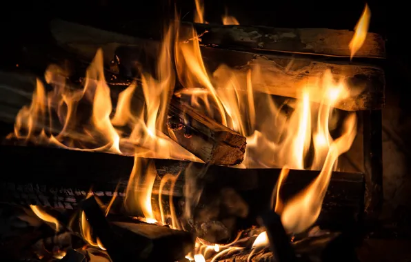 Nature, fire, wood