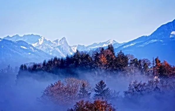 Picture autumn, forest, snow, trees, mountains, fog