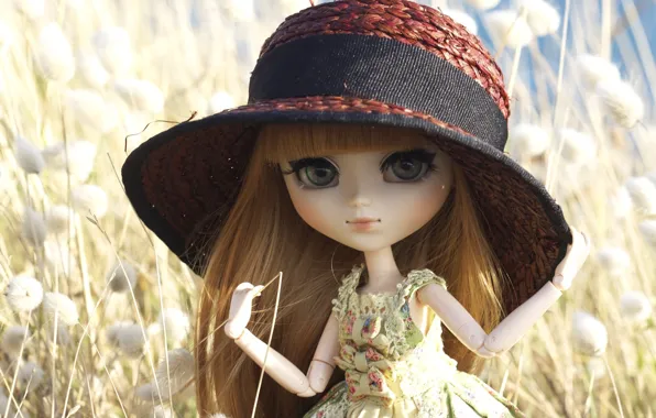 Picture toy, hat, doll, hat