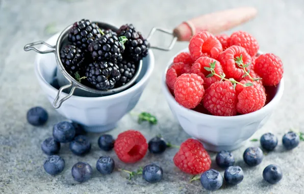Picture berries, raspberry, blueberries, dishes, BlackBerry, Anna Verdina