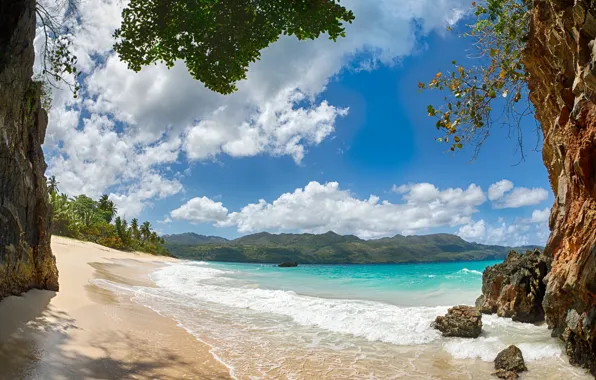 Picture sand, beach, landscape, palm trees, coast