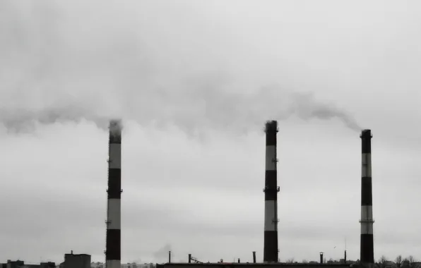 Pipe, the city, plant, SPb, urban