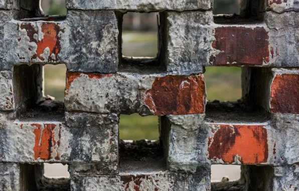 Background, the fence, brick