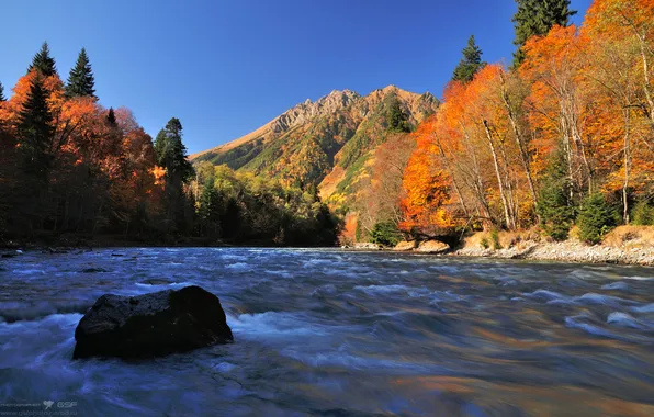Autumn, forest, the sky, leaves, trees, mountains, river, stones