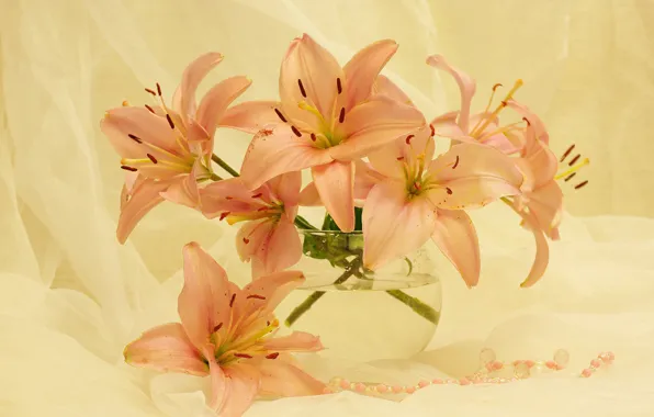 Summer, flowers, mood, Lily, beauty, plants, still life, a bunch