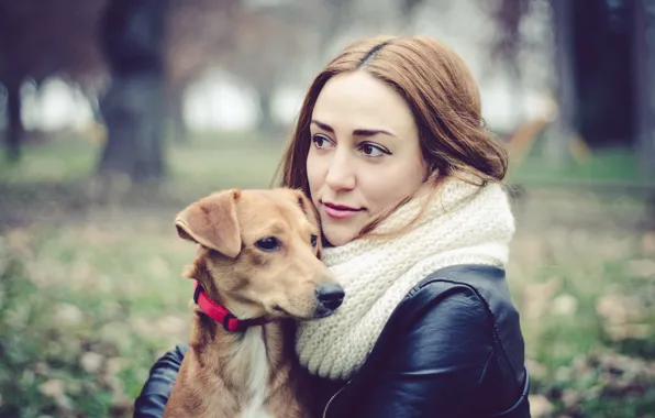 Picture girl, dog, friends