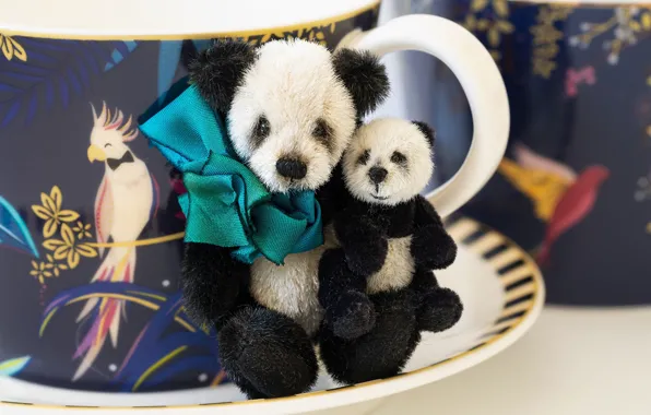 Toys, bears, bear, Panda, mug, bear, bow, bears