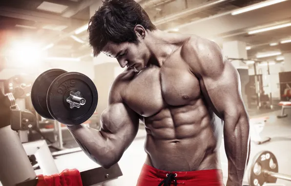 Muscle, muscle, man, press, pose, dumbbells, gym, bodybuilder