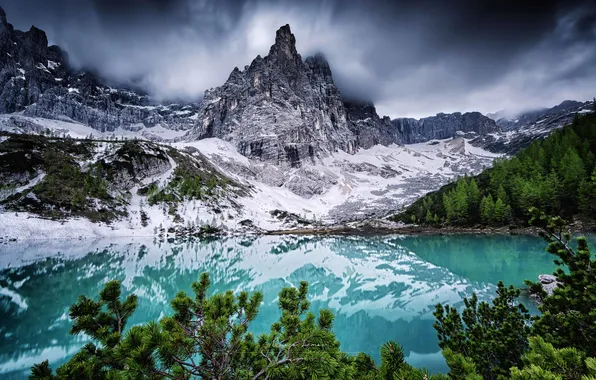 Picture forest, landscape, mountains, nature, lake