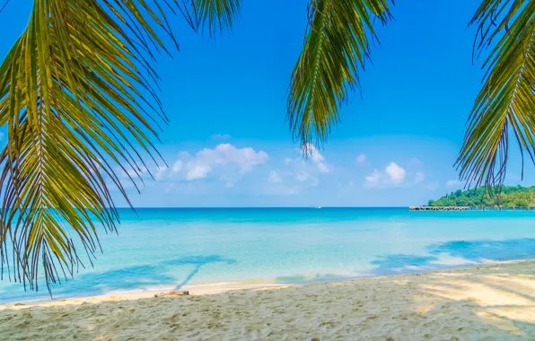 Clouds, landscape, nature, The sky, Sea, Beach, Summer, Tropics