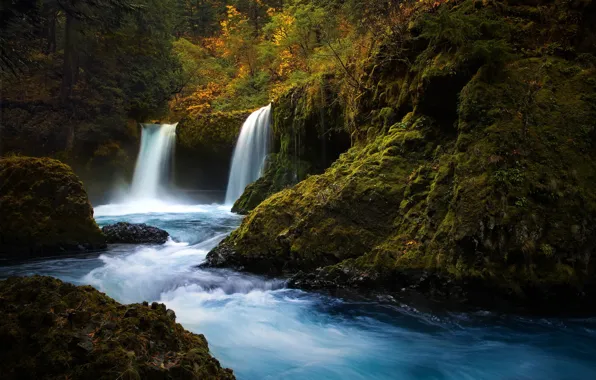 Picture forest, nature, river, stones, waterfall, moss