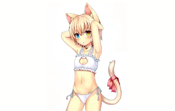 Girl, sexy, lingerie, pantsu, bra, cleavage, panties, boobs