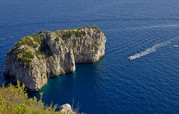 Picture sea, rock, island, Italy, Capri