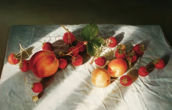 Picture summer, light, berries, shadow, picture, strawberries, art, fruit