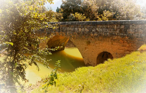 Picture grass, the sun, trees, bridge, river, France, Aquitaine