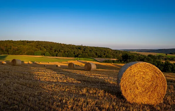 Picture field, Germany, straw