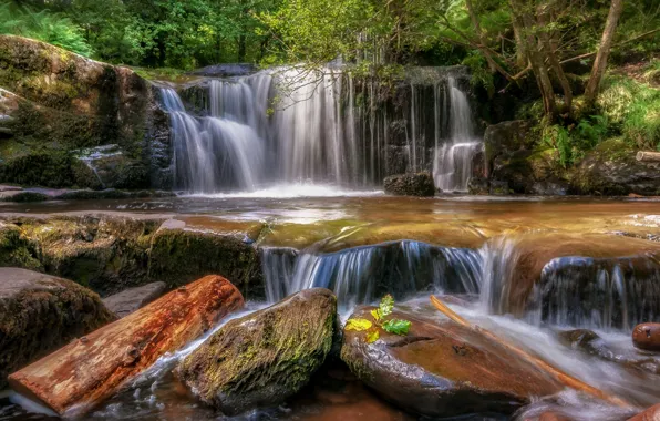 Forest, stones, waterfall, Wales, Llansantffraed