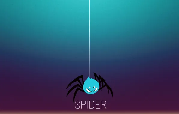 Insects, background, Wallpaper, Desk, spider, minimal, spider, saver