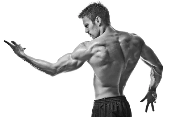 Picture sport, muscles, black and white, pose, gym