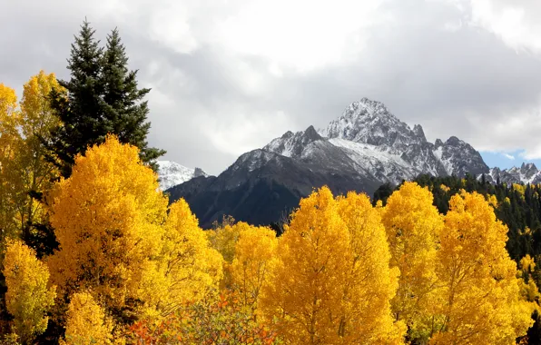 Picture autumn, the sky, leaves, clouds, trees, mountains