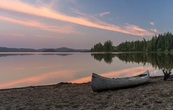 Forest, beach, lake, dawn, boat