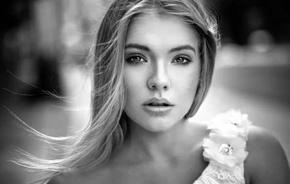 Picture portrait, sponge, Anna, Lods Franck, BW portrait