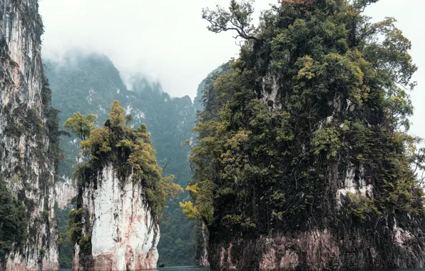 Sea, trees, nature, rocks, Thailand