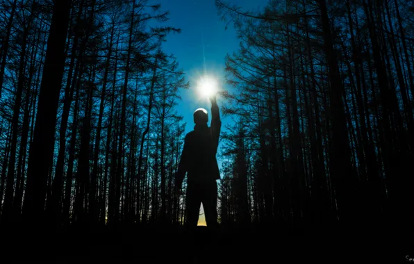 Night, Trees, Fire, Forest, Space, Star, Light, Hand