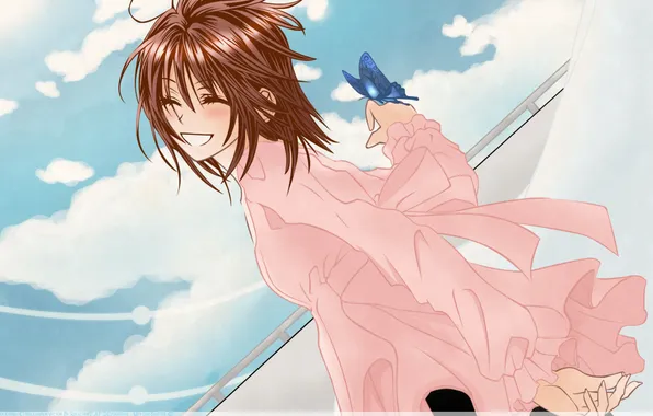 The sky, butterfly, anime, vampire knight, yuki