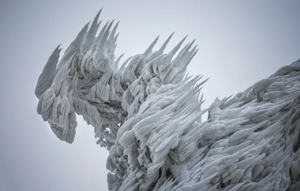 The sky, branches, nature, tree, ice, icicles, spikes, crystals