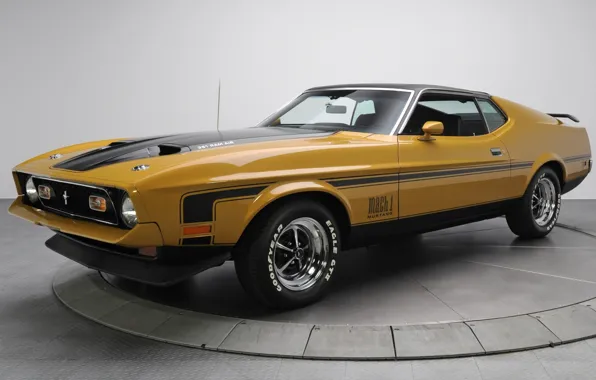 Picture background, Mustang, Ford, Ford, 1971, Mustang, brown, the front