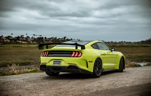 Wallpaper Mustang, Ford, rear view, tuning, 2019, Revenge GT