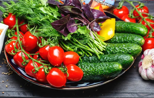 Dill, vegetables, tomatoes, cucumbers, Basil