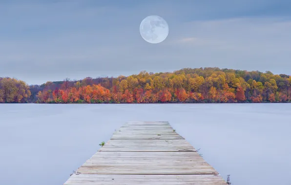 Picture autumn, forest, nature, lake, the moon, Marina